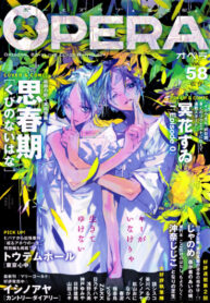 Cover 66816