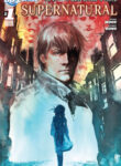Cover 66875
