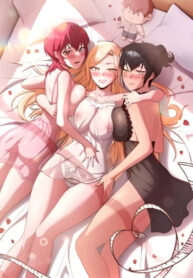 Cover 66914
