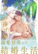 Cover 66933