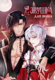 Cover 67082