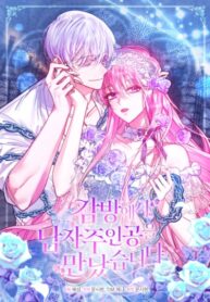 Cover 67095