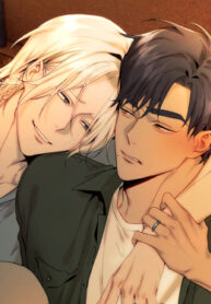 Cover 67173