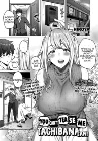 Cover 67584