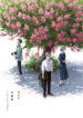 Cover 67649