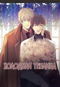 Cover 67704