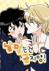 Cover 67771
