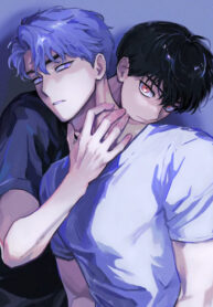 Cover 67850