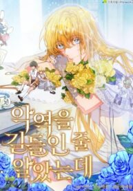 Cover 67854