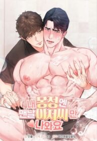 Cover 67873