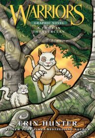 Cover 67941