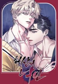 Cover 68041