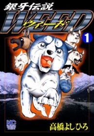Cover 68074