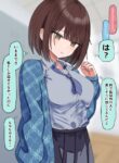 Cover 68076