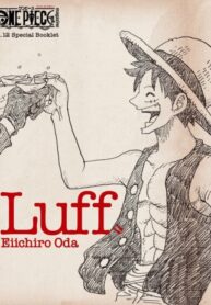 Cover 68078