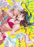 Cover 68246