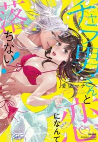 Cover 68246