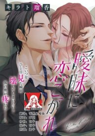 Cover 68256