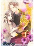 Cover 68380