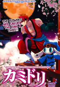 Cover 68706