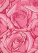 Cover 68732