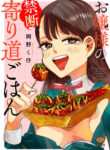 Cover 68748