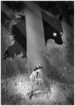 Cover 68850