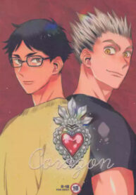 Cover 69035