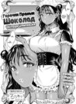 Cover 69097