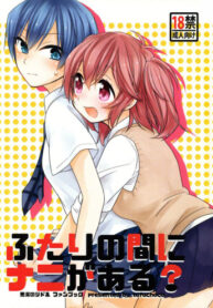 Cover 69314