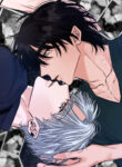 Cover 70204