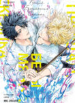 Cover 70275