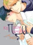 Cover 70303