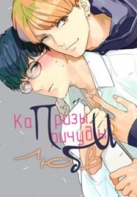 Cover 70303