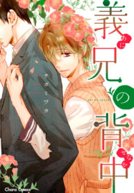 Cover 70311