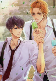 Cover 70325