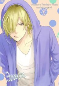 Cover 70355