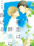 Cover 70377