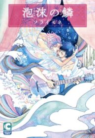 Cover 70399