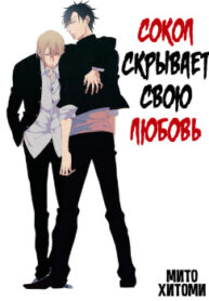 Cover 70500