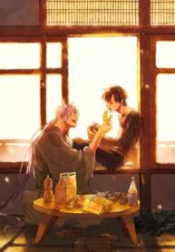 Cover 70504