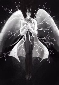 Cover 70553