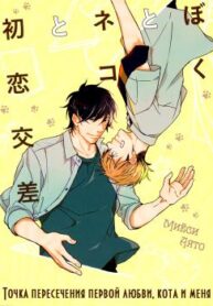 Cover 70636
