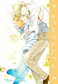 Cover 70684