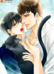 Cover 70806