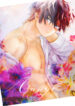 Cover 70854