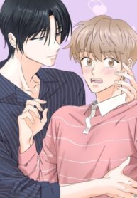Cover 71077