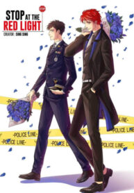 Cover 71079