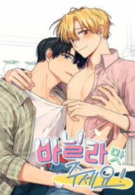 Cover 71081