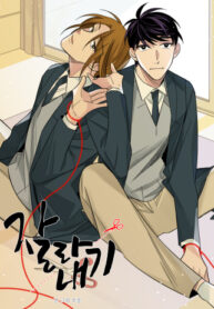 Cover 71089